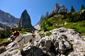 VAL FISCALINA e TRE CIME DI LAVAREDO 1 luglio 2011 - FOTOGALLERY
